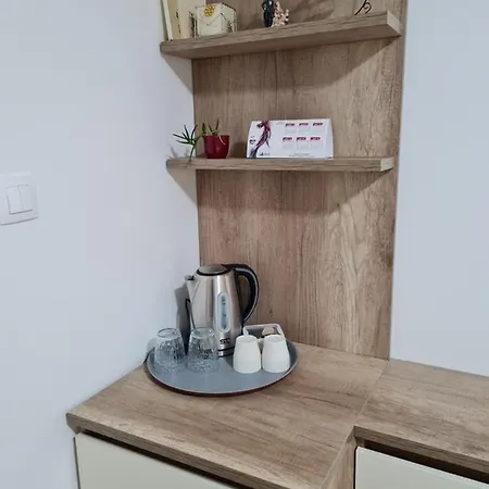 Apartment Bojana Penthouse Negotino (Negotino)